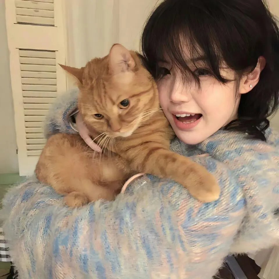 傅总别找了夫人给你当秘书呢