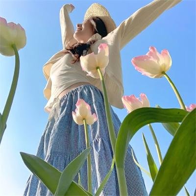 变形金刚：赛博坦之战第二季